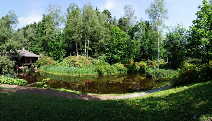 Park Seleger Moor Switzerland Pond and Trees