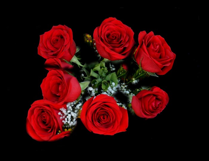 Roses, Bouquets, Red, Black background HD Wallpaper