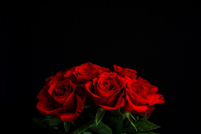 Bouquet of red roses on a black background