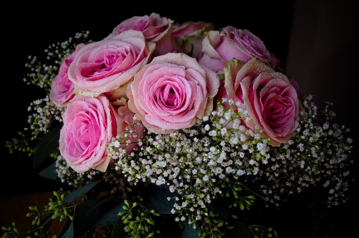Pink Roses Bouquet with Baby's Breath