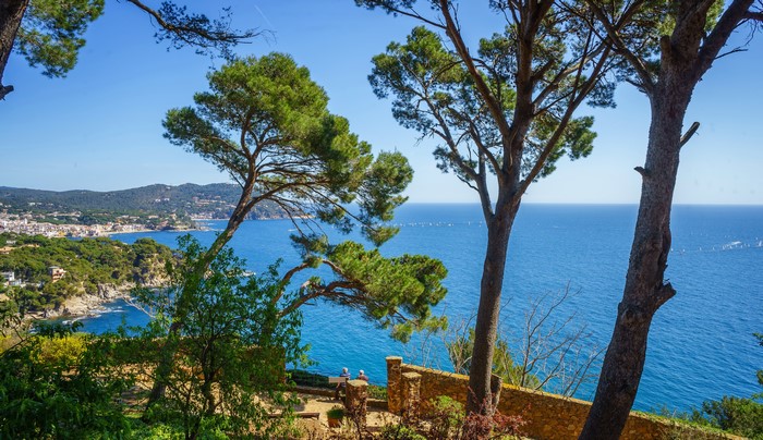 Costa Brava Coastline with Trees and Sea