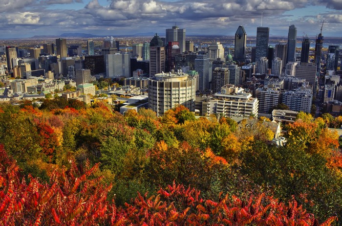 Montreal skyline with autumn trees
