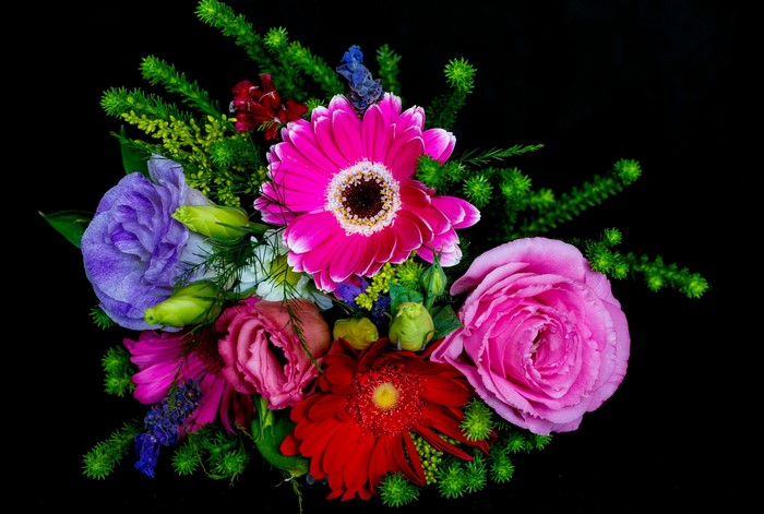 Gerbera and Rose Bouquet on Black Background