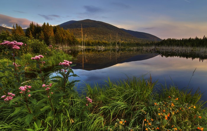 Lake and mountains with flowers in Quebec, Canada