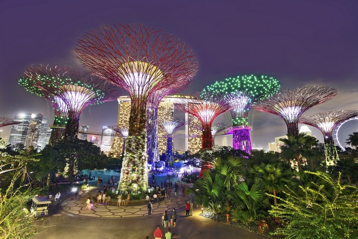Gardens by the Bay Singapore at Night