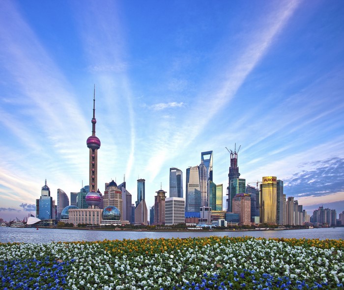 Shanghai skyline with Oriental Pearl Tower and flowers