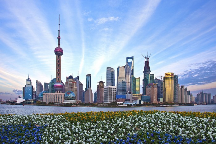 Shanghai skyline with Oriental Pearl Tower and flowers