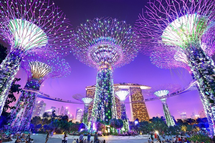 Gardens by the Bay Singapore at Night
