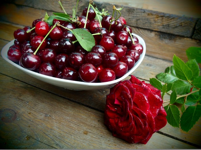 Cherries in a bowl with a red rose
