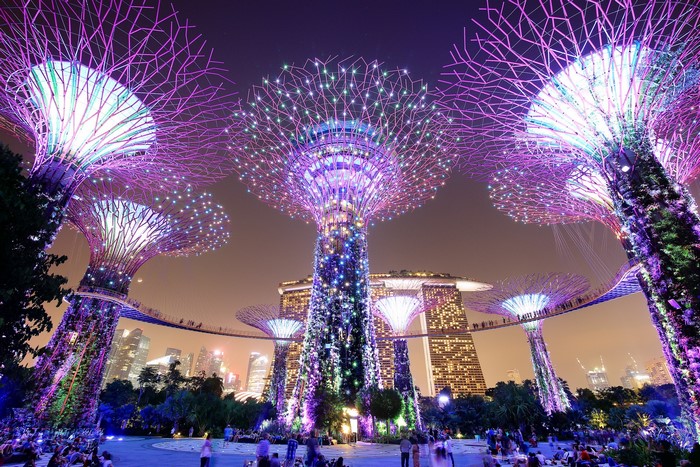 Gardens by the Bay Singapore at Night
