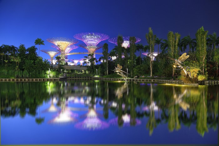 Gardens by the Bay Singapore at night with reflections