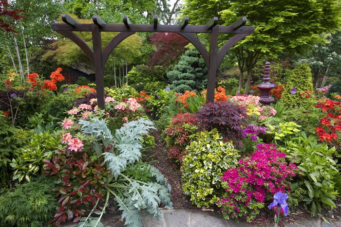 Garden with Rhododendrons and Shrubs in Walsall, England