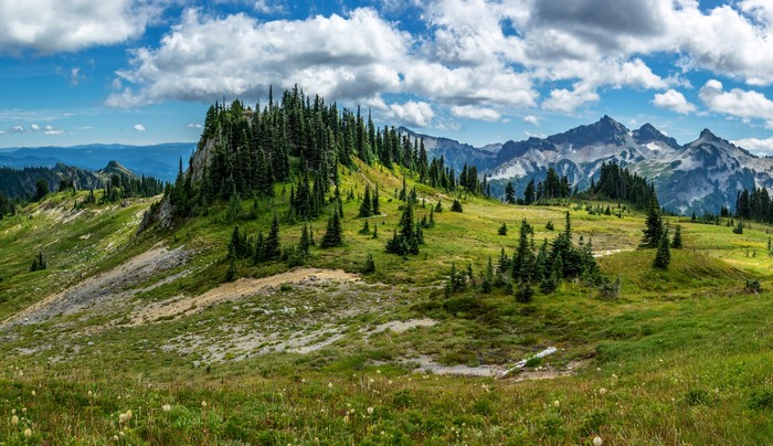 Mountain landscape with spruce trees and clouds