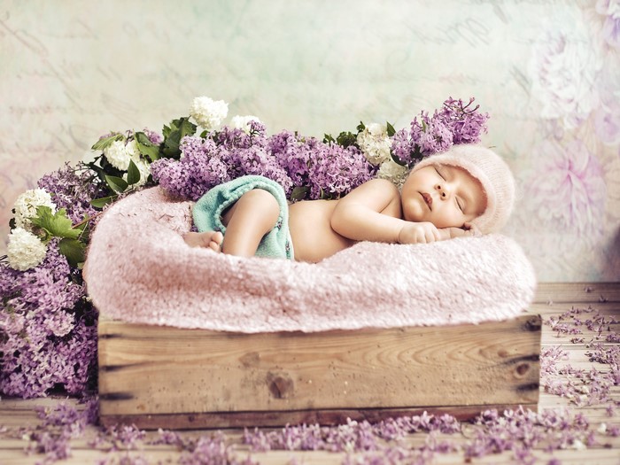 Baby sleeping in a wooden crate with lilacs