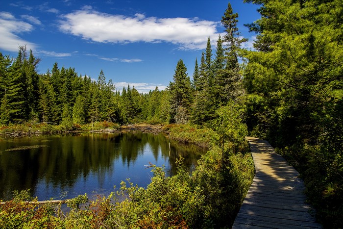 #804011 4K, Mauricie national park, Canada, Parks, Lake, Forests ...