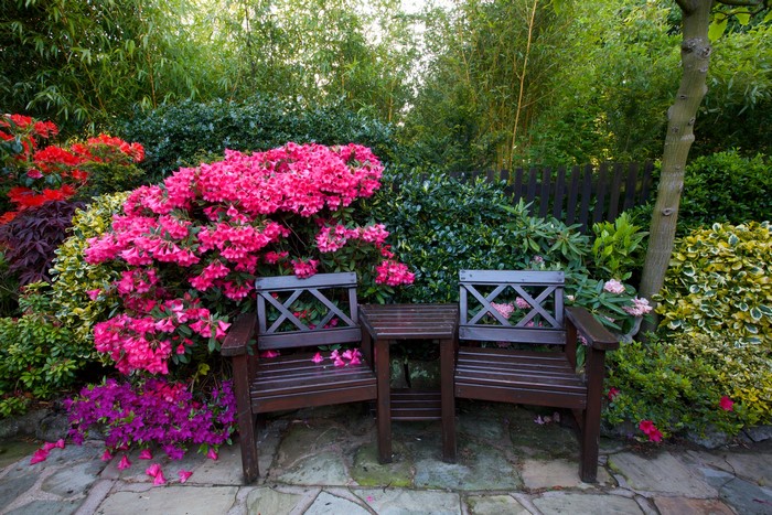 Garden with Rhododendrons and Benches in Walsall, England