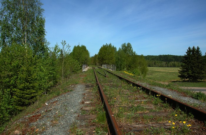 Abandoned railroad tracks through a green landscape