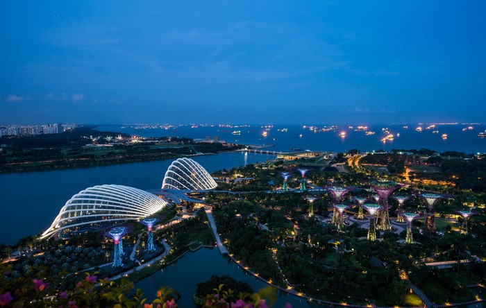 Gardens by the Bay, Singapore at Night from Above