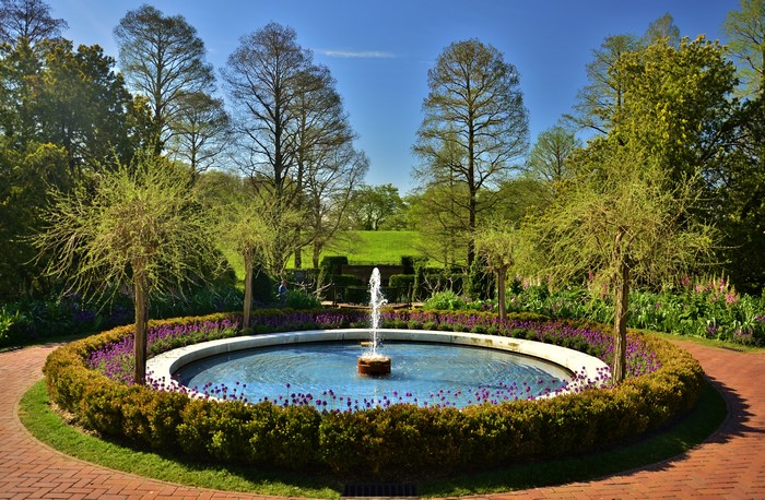 Fountain in a park with trees and shrubs