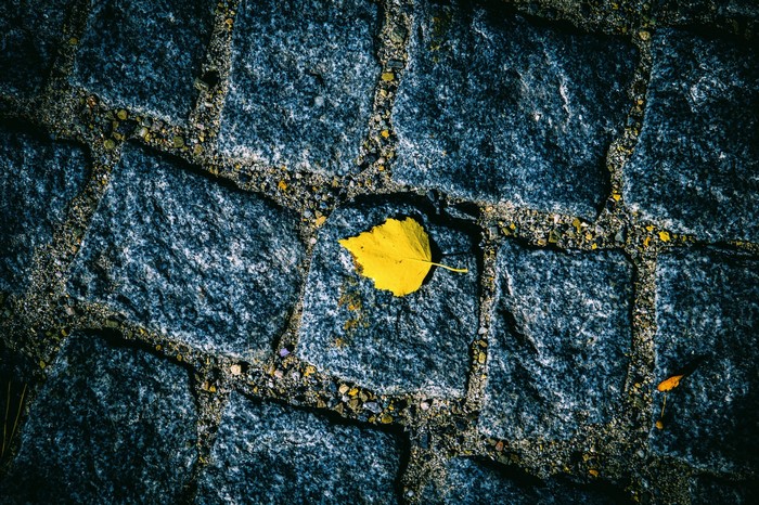 Yellow leaf on dark stone pavement texture