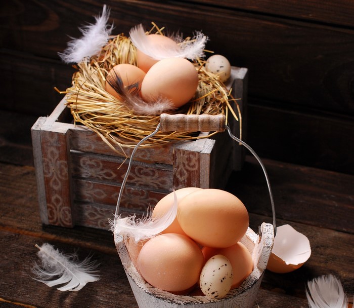 Eggs and feathers in a nest and basket