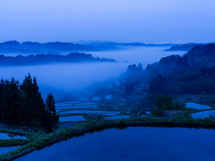 Terraced rice fields in fog at dawn
