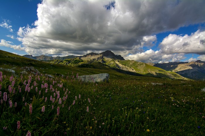 Mountain landscape with flowers and clouds in Colmars, France