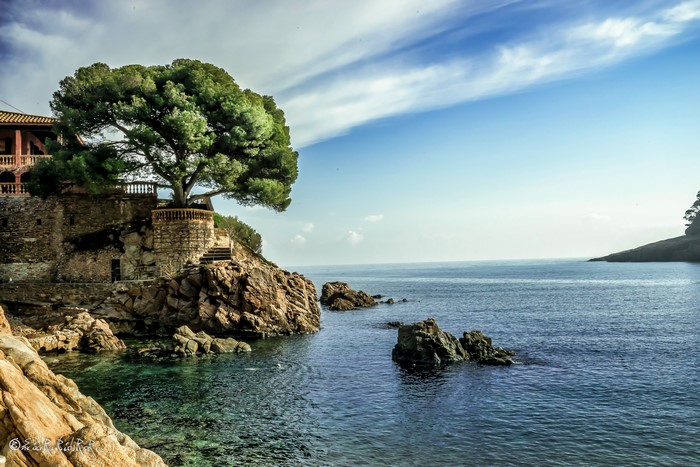 Coastal cliff with a large tree and building overlooking the sea in Costa Brava, Spain