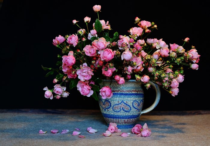 Still-life of pink roses in a jug