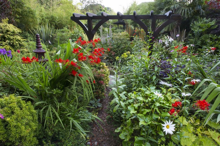 Garden with red flowers and pergola in Walsall, England