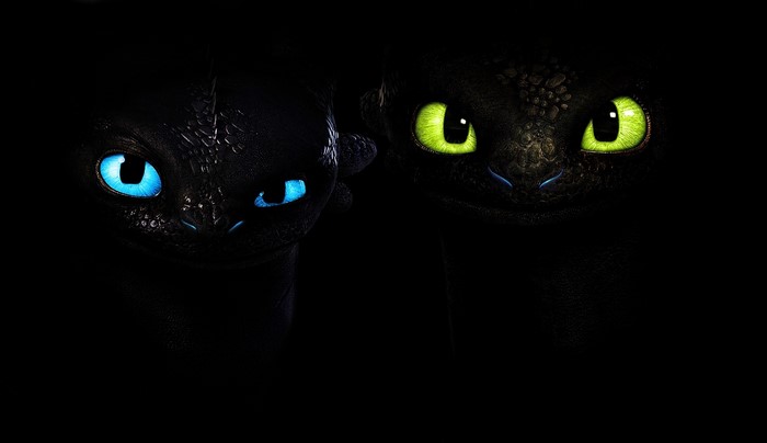Toothless and Light Fury from How to Train Your Dragon