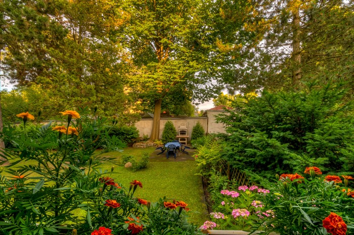 Garden with marigolds and trees