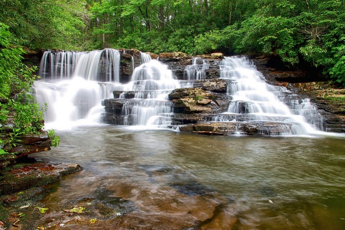 Cascading Waterfall in a Lush Forest