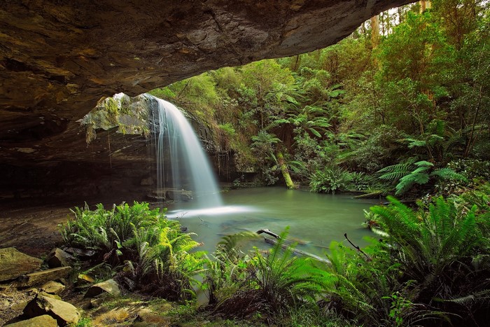 Waterfall cascading from a cave into a forest pool