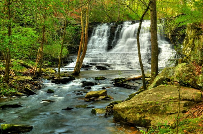 Waterfall cascading through a forest with a river in the foreground