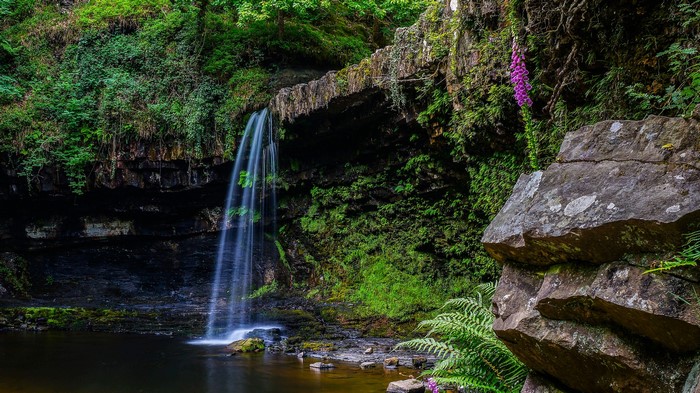 Waterfall cascading over a mossy crag into a pool