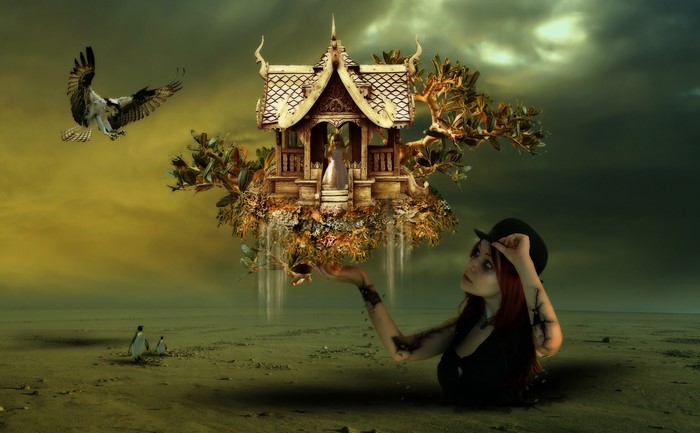 Floating house with a woman and an eagle