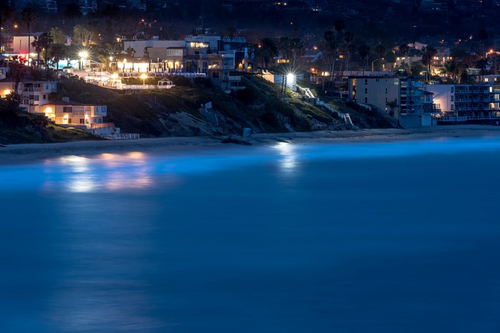 Laguna Beach California Coastline at Night
