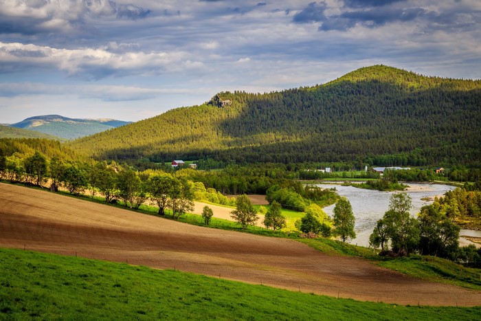 Dovre, Norway Scenery with Mountains, Fields, Rivers, Forests, and Trees