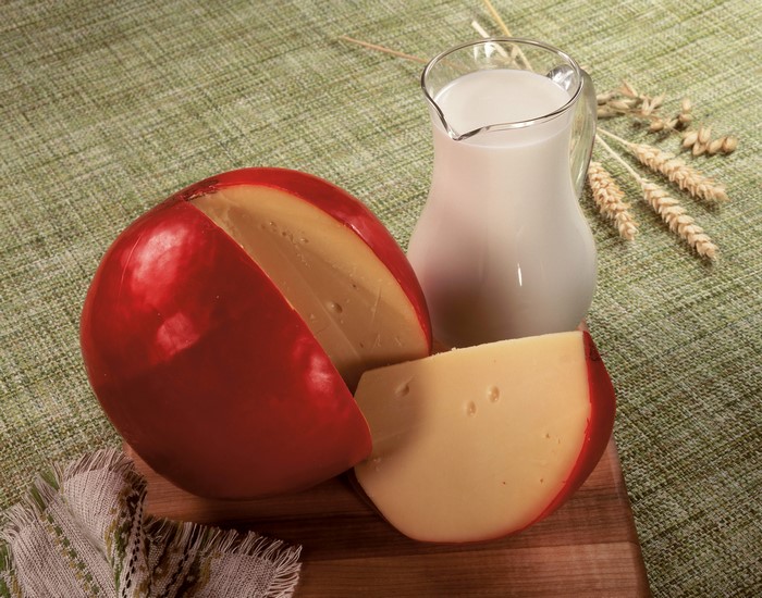 Cheese and Milk in a Jug