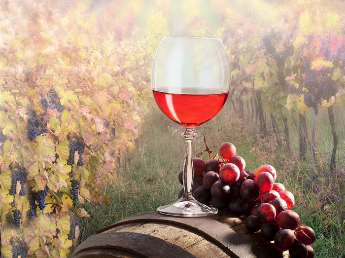 Glass of Red Wine with Grapes on Barrel in Vineyard