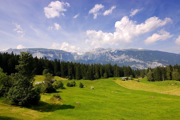 Green grasslands and forests with mountains under a cloudy sky