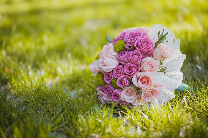 Bouquet of Pink and Purple Roses on Grass