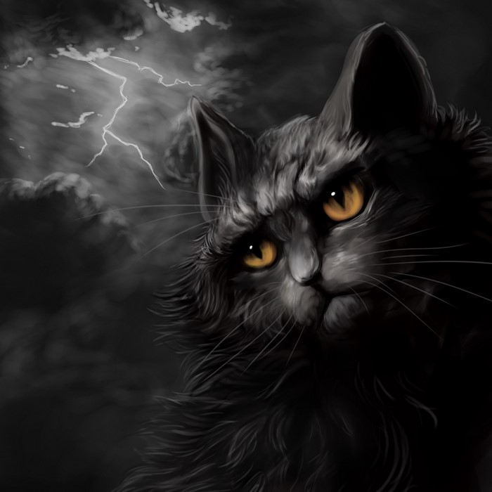 Black cat in a stormy night with lightning
