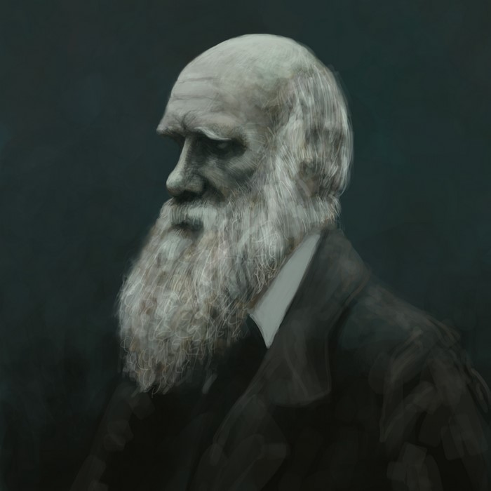 Charles Darwin Painting Art