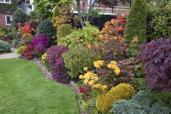 Colorful garden with various shrubs and flowers in England