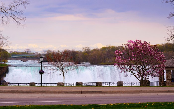 Niagara Falls with flowering trees and a bridge