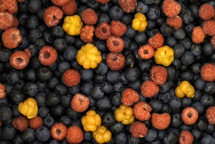 Raspberries, Blueberries, and Yellow Berries
