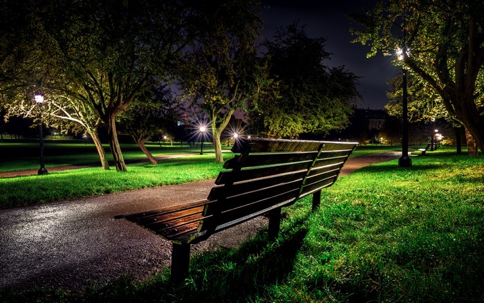4K Night scene in London park with bench and trees