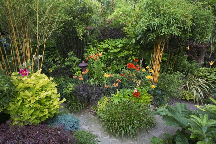 Walsall Garden England Shrubs